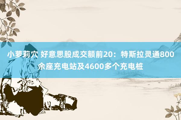 小萝莉穴 好意思股成交额前20：特斯拉灵通800余座充电站及4600多个充电桩