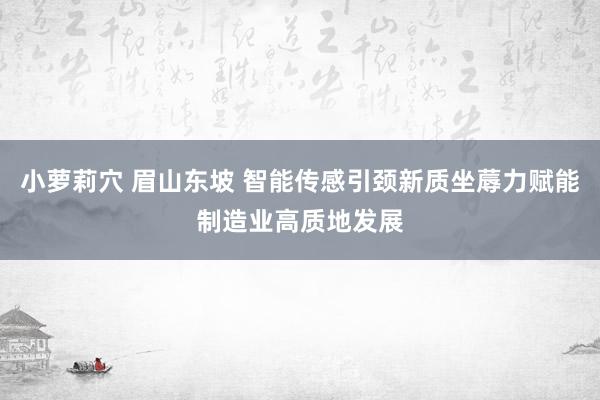 小萝莉穴 眉山东坡 智能传感引颈新质坐蓐力赋能制造业高质地发展