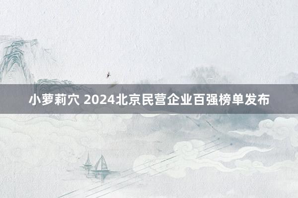 小萝莉穴 2024北京民营企业百强榜单发布