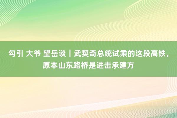 勾引 大爷 望岳谈｜武契奇总统试乘的这段高铁，原本山东路桥是进击承建方