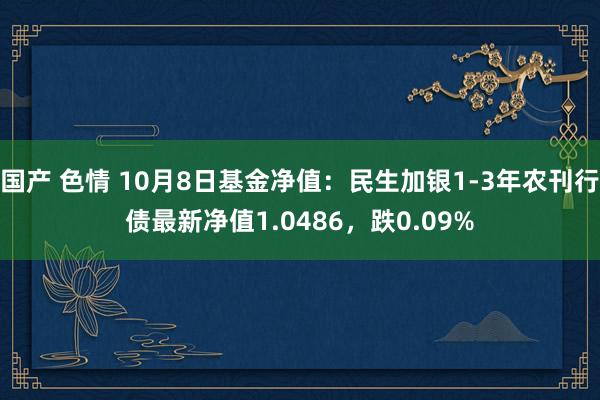 国产 色情 10月8日基金净值：民生加银1-3年农刊行债最新净值1.0486，跌0.09%