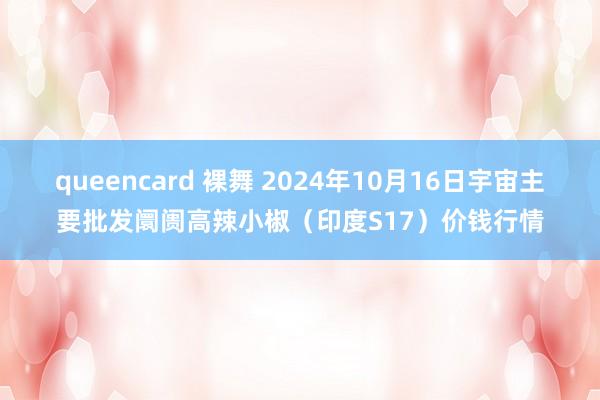 queencard 裸舞 2024年10月16日宇宙主要批发阛阓高辣小椒（印度S17）价钱行情