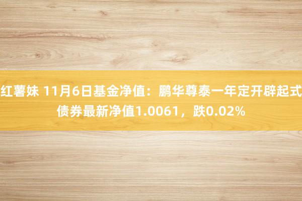 红薯妹 11月6日基金净值：鹏华尊泰一年定开辟起式债券最新净值1.0061，跌0.02%