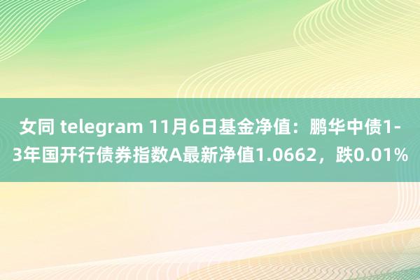 女同 telegram 11月6日基金净值：鹏华中债1-3年国开行债券指数A最新净值1.0662，跌0.01%